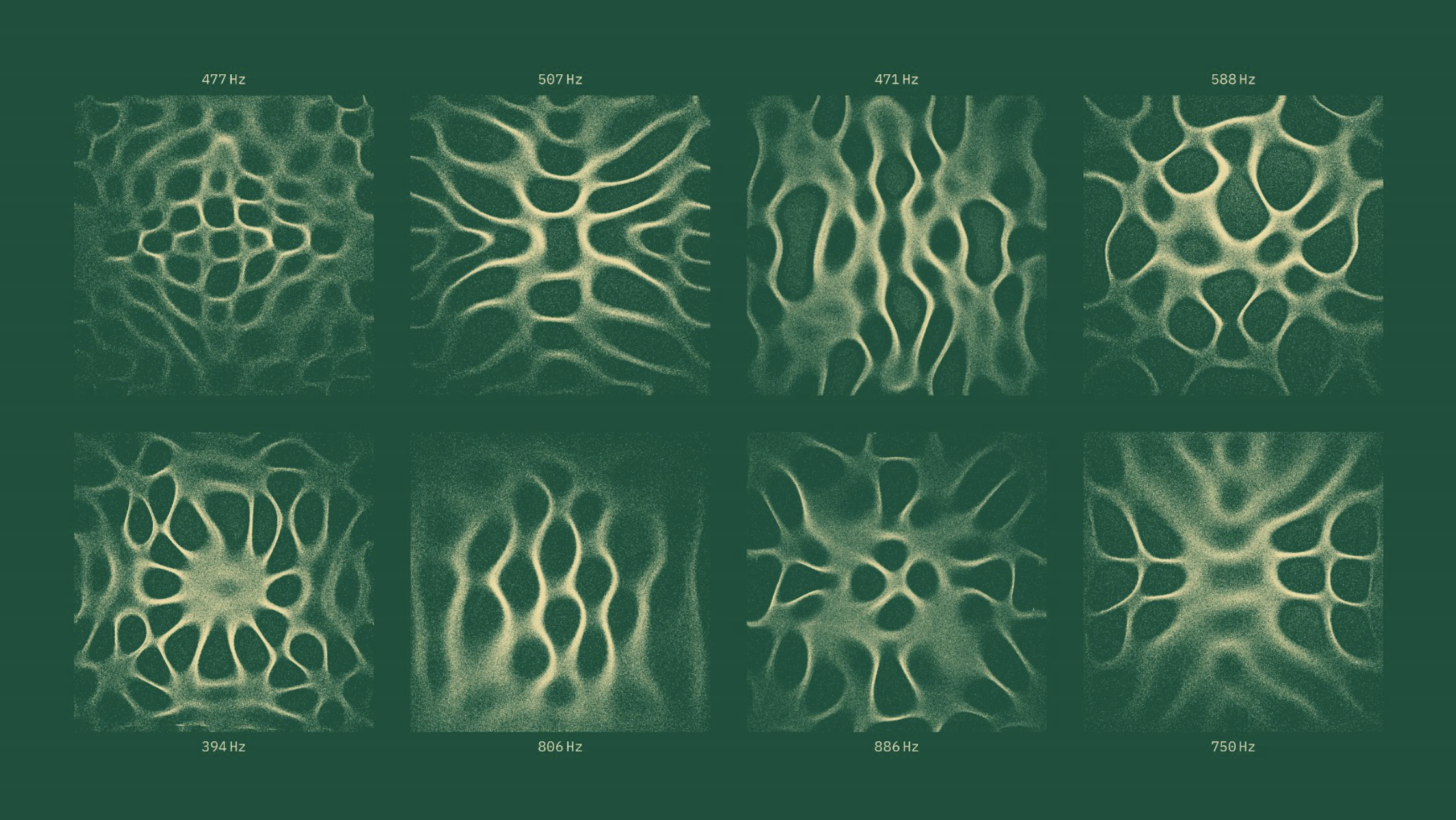 TouchDesigner-generated sound visualization for Forest Carbon